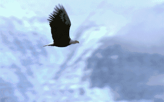 陕建锦泓府-内部优惠-物业-动态-销售状态